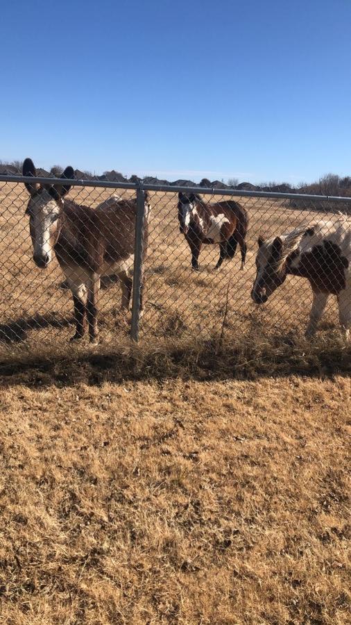 Orr Family Farm & Rr, Llc Farm stay *